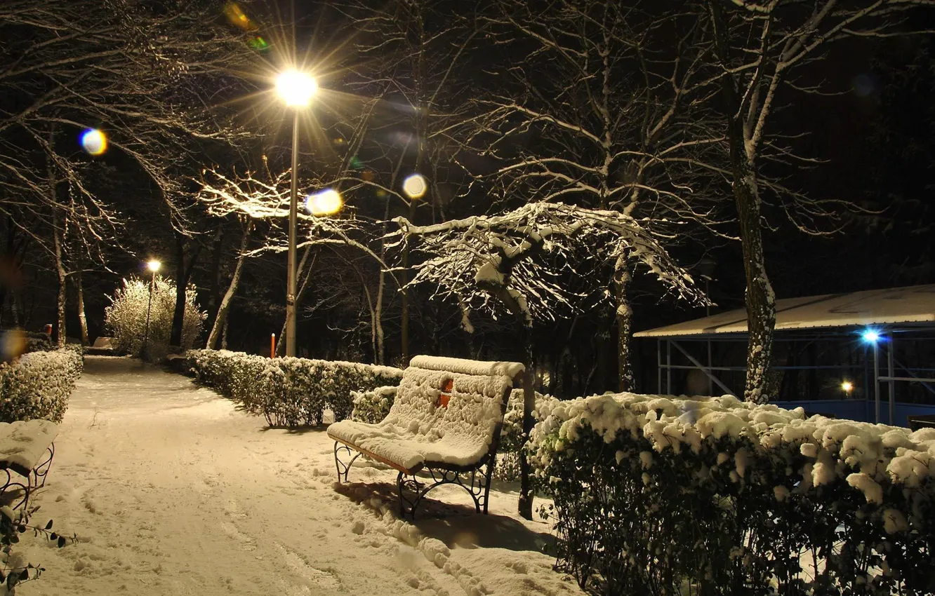 Photo wallpaper winter, light, snow, trees, bench, the evening