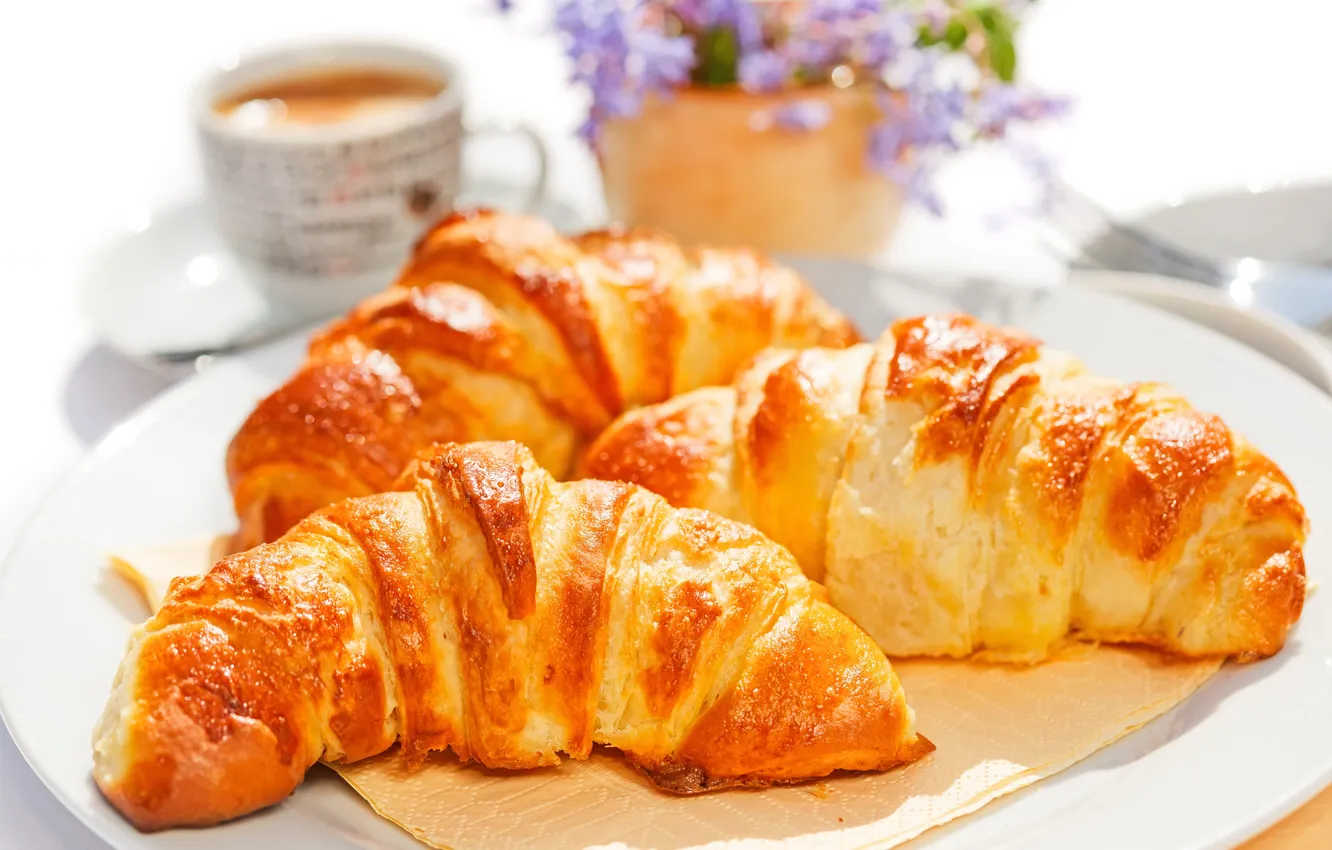 Photo wallpaper coffee, Breakfast, cup, coffee, growing, breakfast, croissant