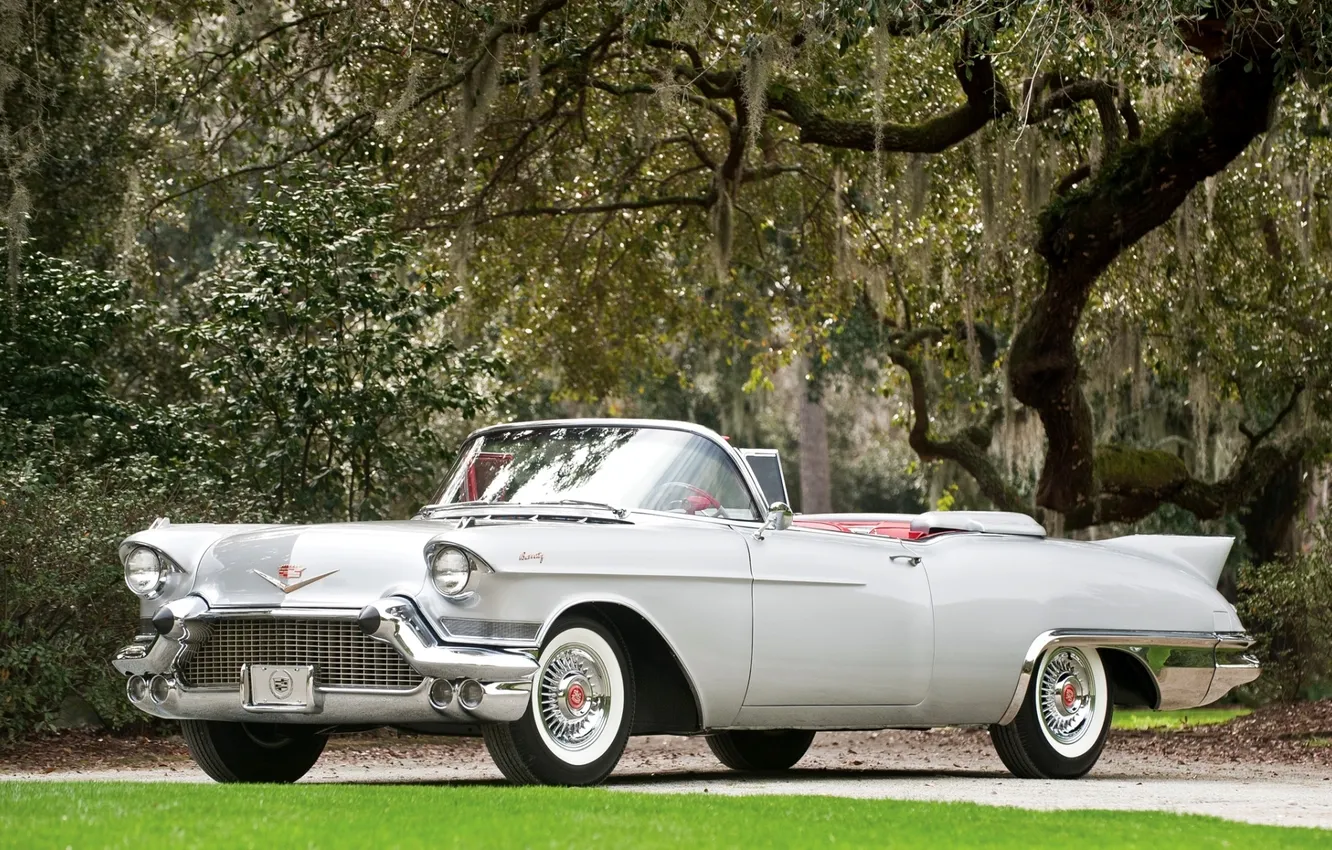 Photo wallpaper grey, tree, Eldorado, Cadillac, convertible, classic, the front, Cadillac