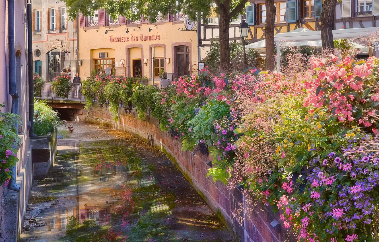 Photo wallpaper flowers, street, channel, France, Alsace, Colmar