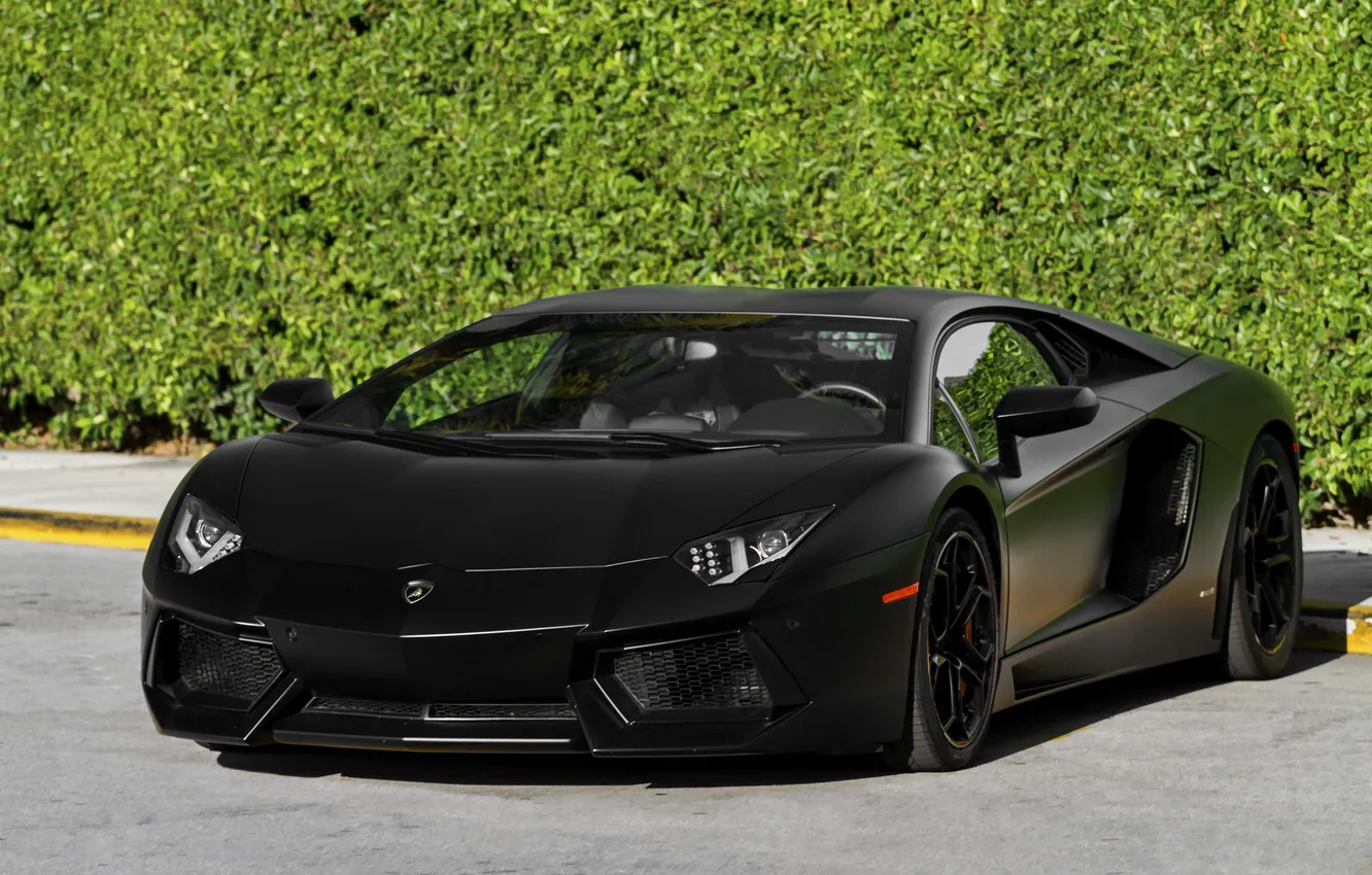 Photo wallpaper Lamborghini, supercar, black, Aventador, lp700-4, luxury, exotic, matte