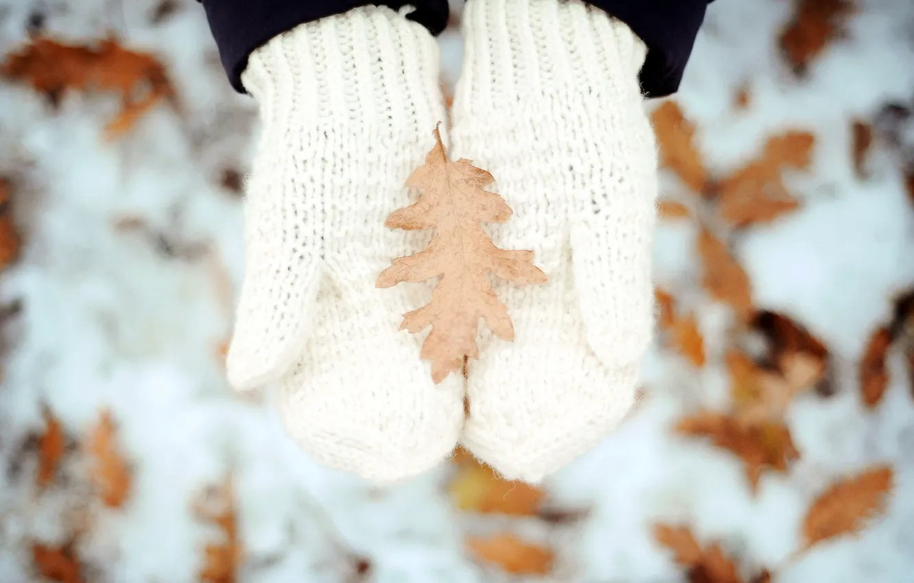 Photo wallpaper winter, leaves, hands