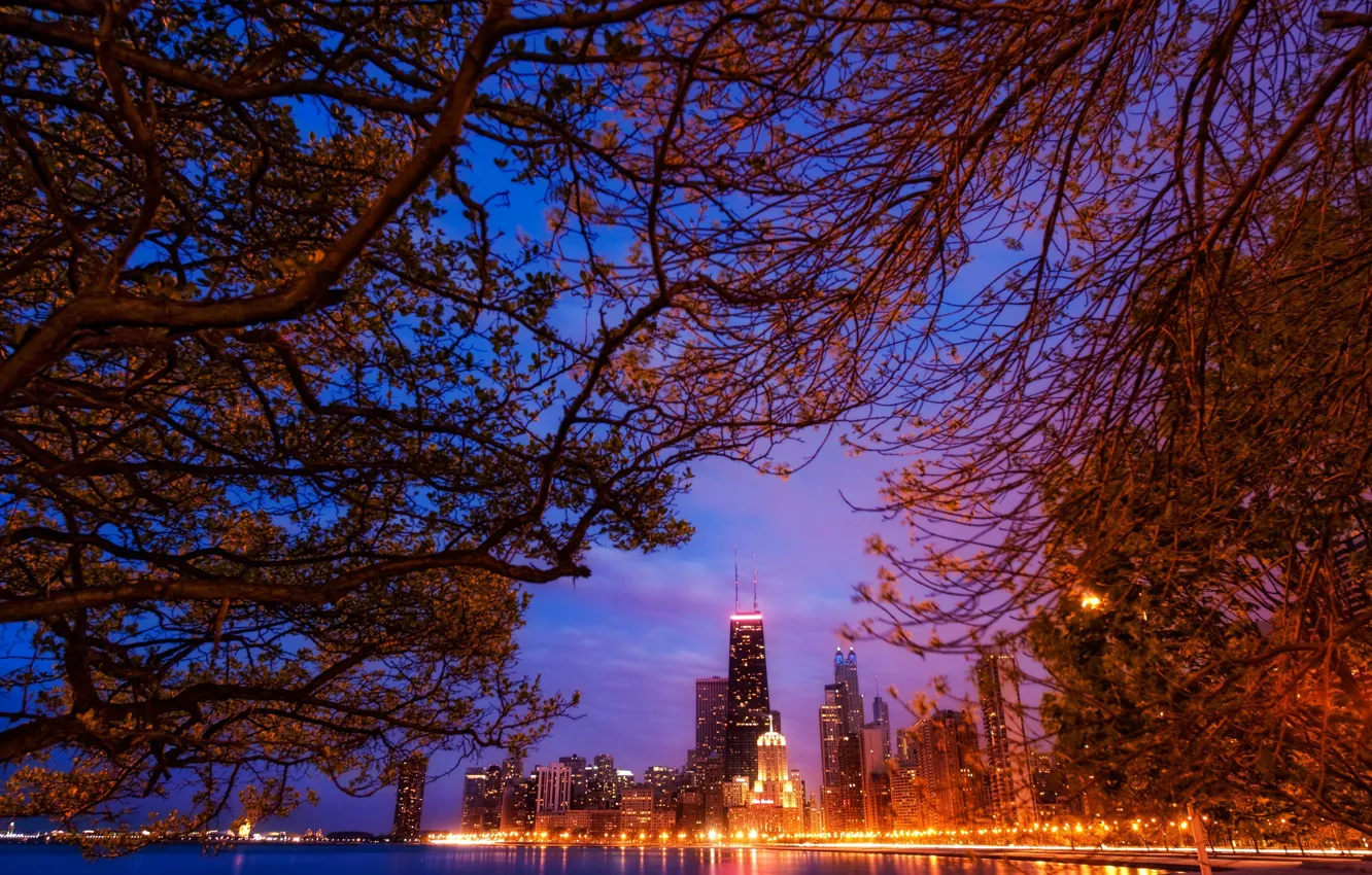 Photo wallpaper landscape, night, branches, lights, skyscrapers, America, Chicago, Chicago