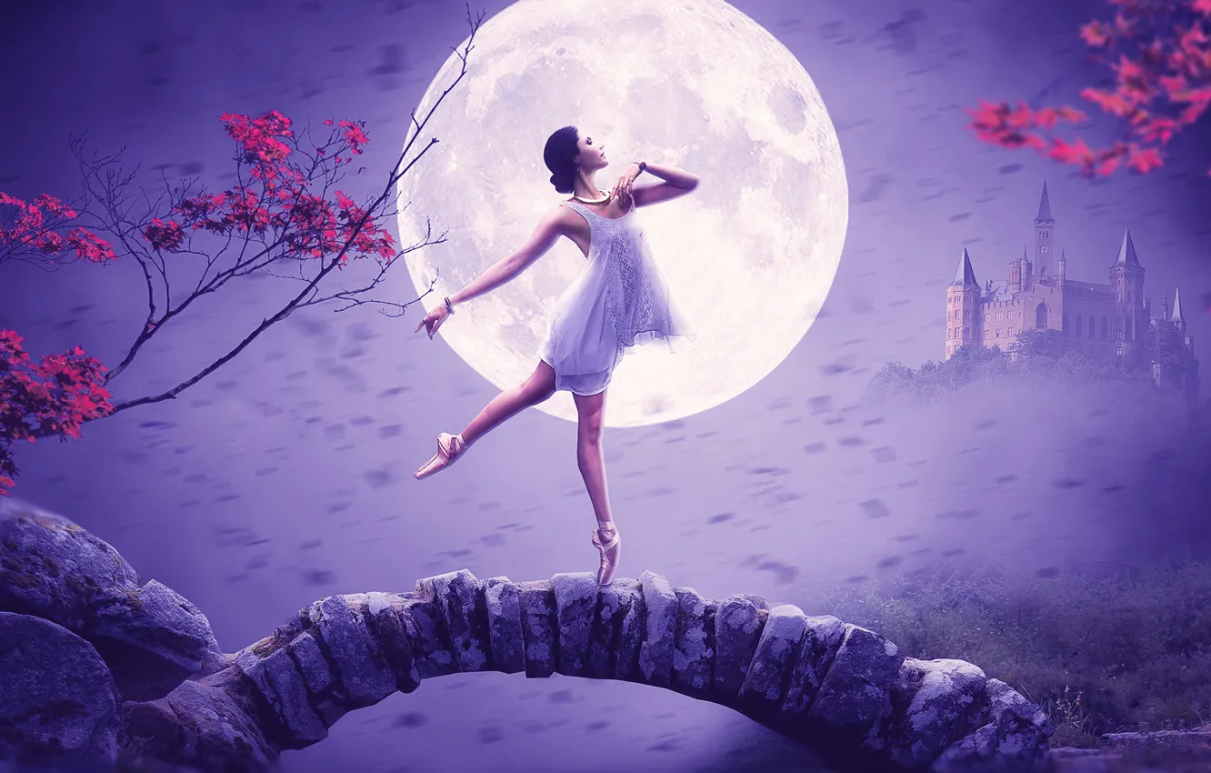 Photo wallpaper girl, pose, castle, the moon, ballerina