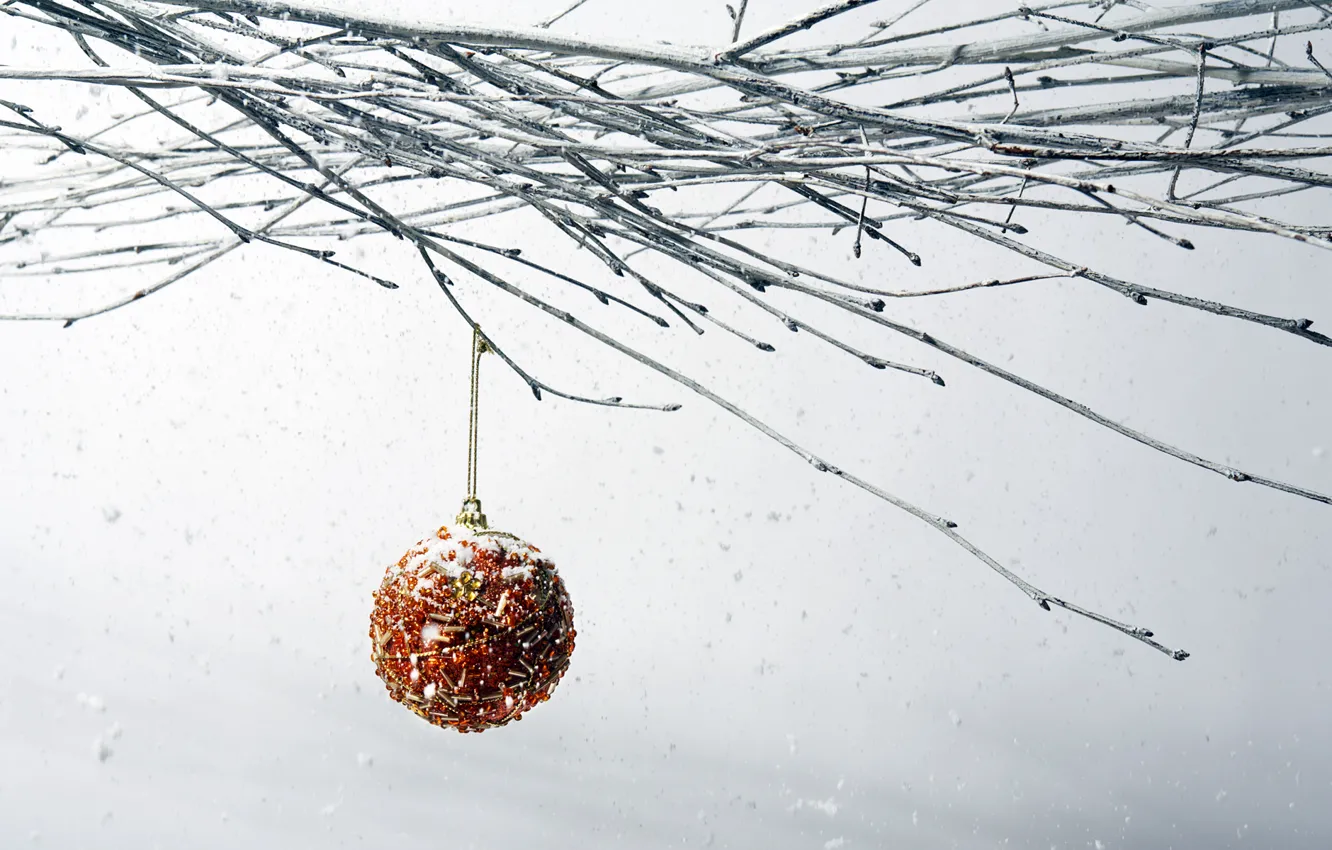 Photo wallpaper snow, new year, branch, Christmas ball