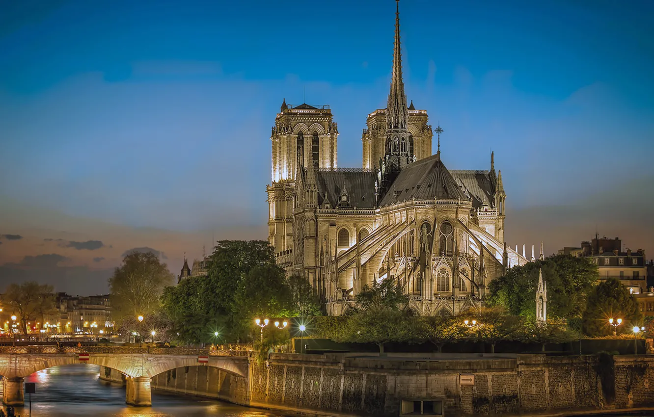 Photo wallpaper river, Paris, Cathedral, lights, Notre Dame, Notre Dame Cathedral