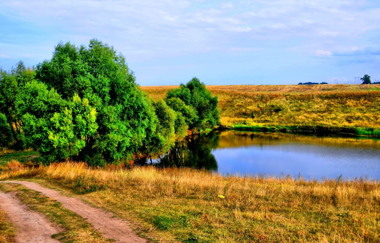 Photo wallpaper road, field, the sky, grass, clouds, trees, landscape, nature