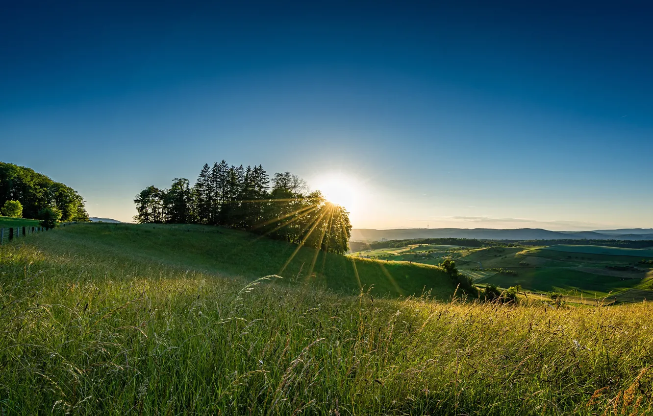 Photo wallpaper field, grass, the sun, rays, Switzerland