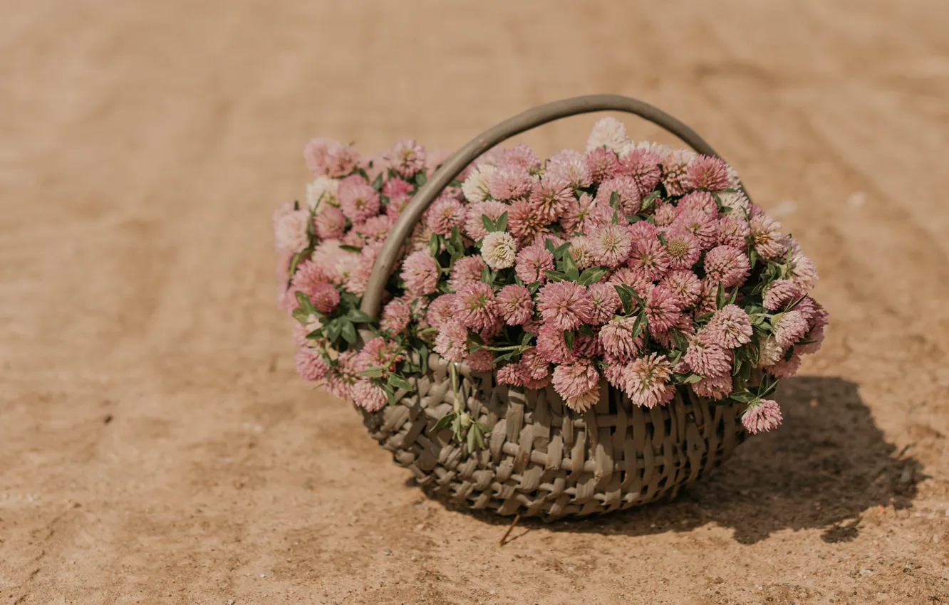 Photo wallpaper flowers, basket, clover