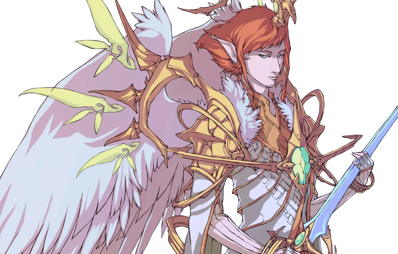 Photo wallpaper wings, sword, armor, male