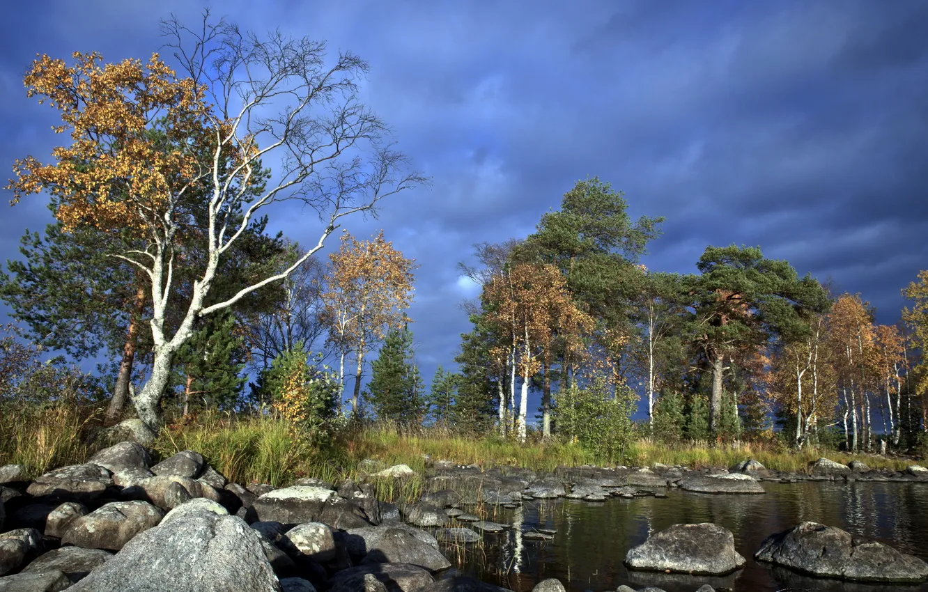 Photo wallpaper summer, trees, landscape, nature, river, stones