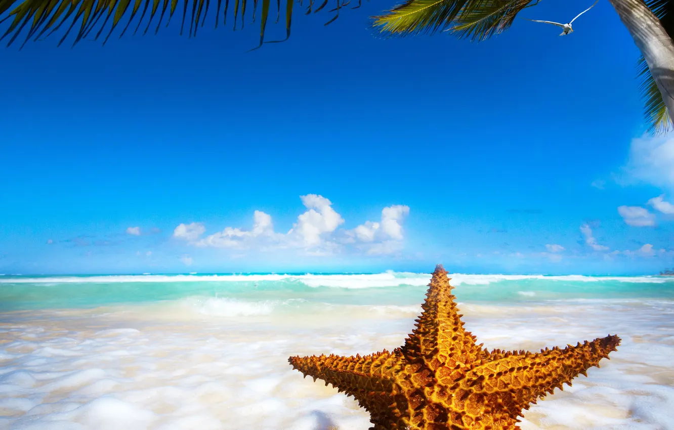 Photo wallpaper sand, sea, beach, the sun, tropics, the ocean, shore, island