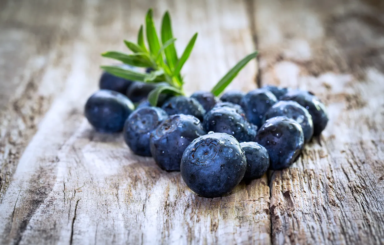Photo wallpaper macro, blueberries, berry, water drops