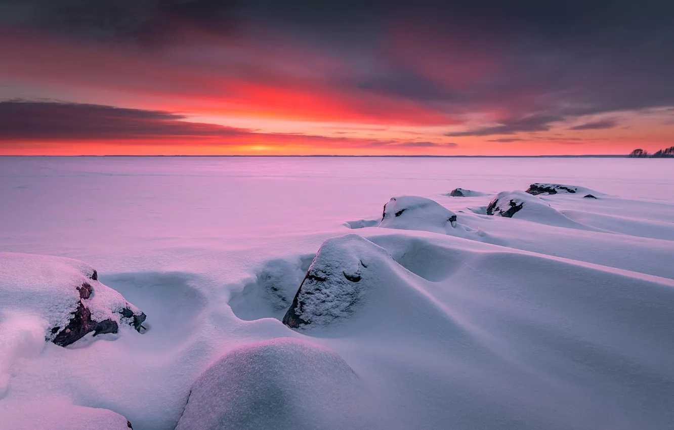 Photo wallpaper winter, snow, Frozen, Finland, Finland, Finland, Joensuu