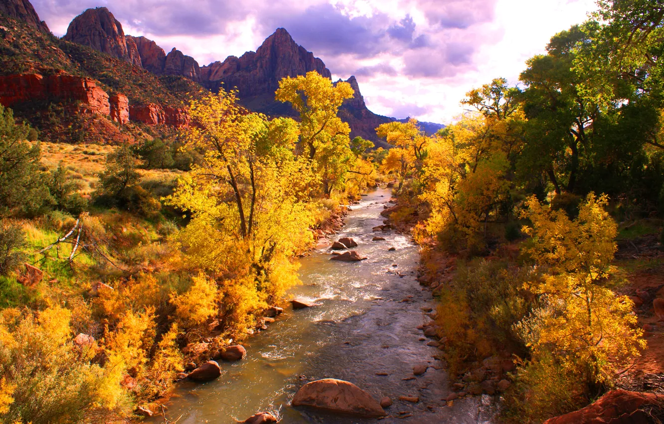 Photo wallpaper autumn, forest, the sky, trees, mountains, clouds, river, stones