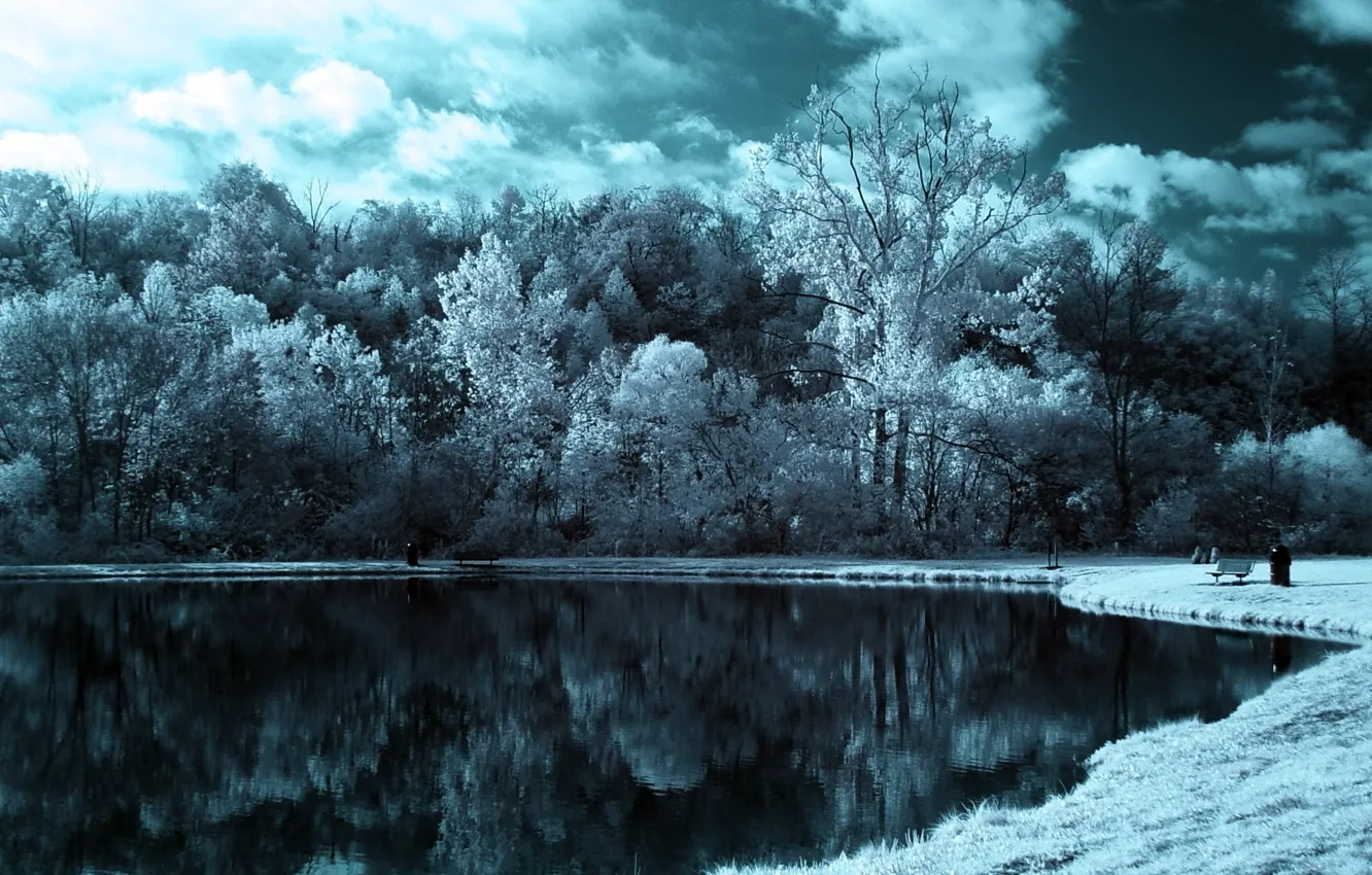 Photo wallpaper forest, the sky, clouds, trees, Lake, effect