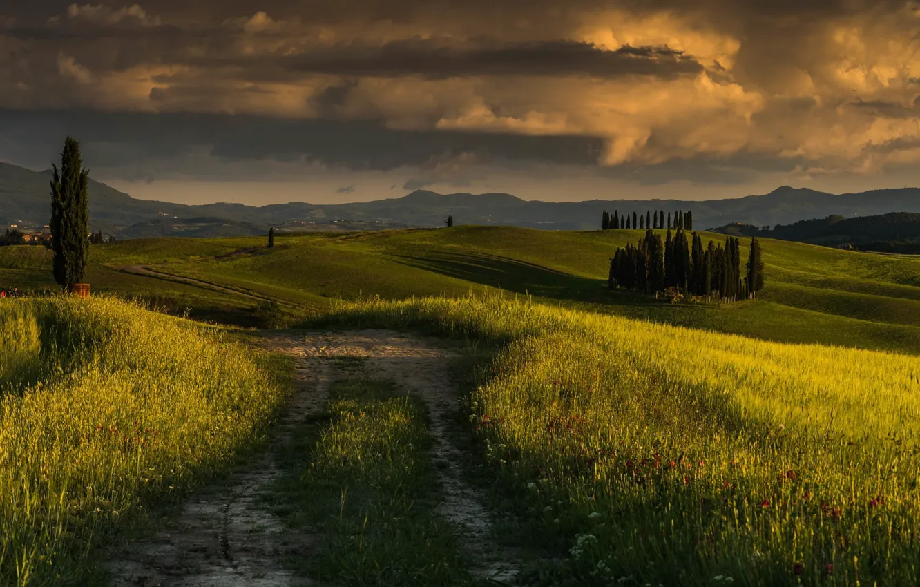 Photo wallpaper field, sunset, trail, the evening, plain
