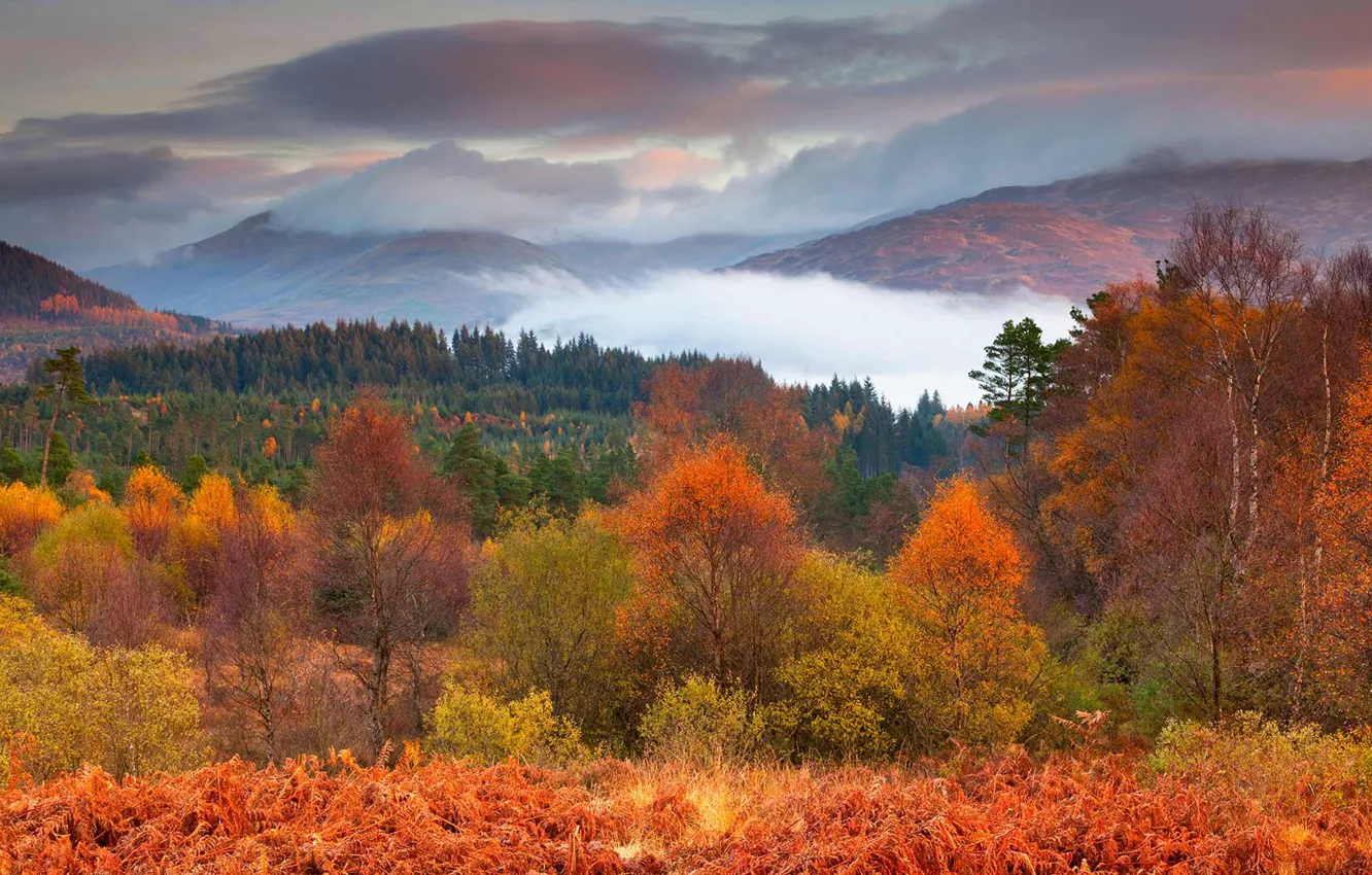 Photo wallpaper autumn, trees, mountains, Scotland, National Park Loch Lomond and the Trossachs