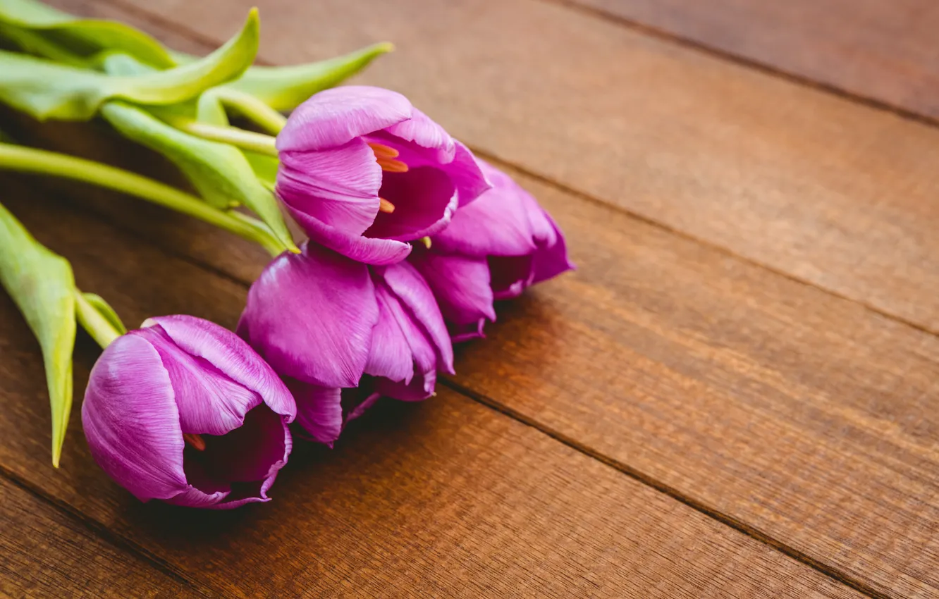 Photo wallpaper flowers, bouquet, purple, tulips, wood, flowers, tulips, spring