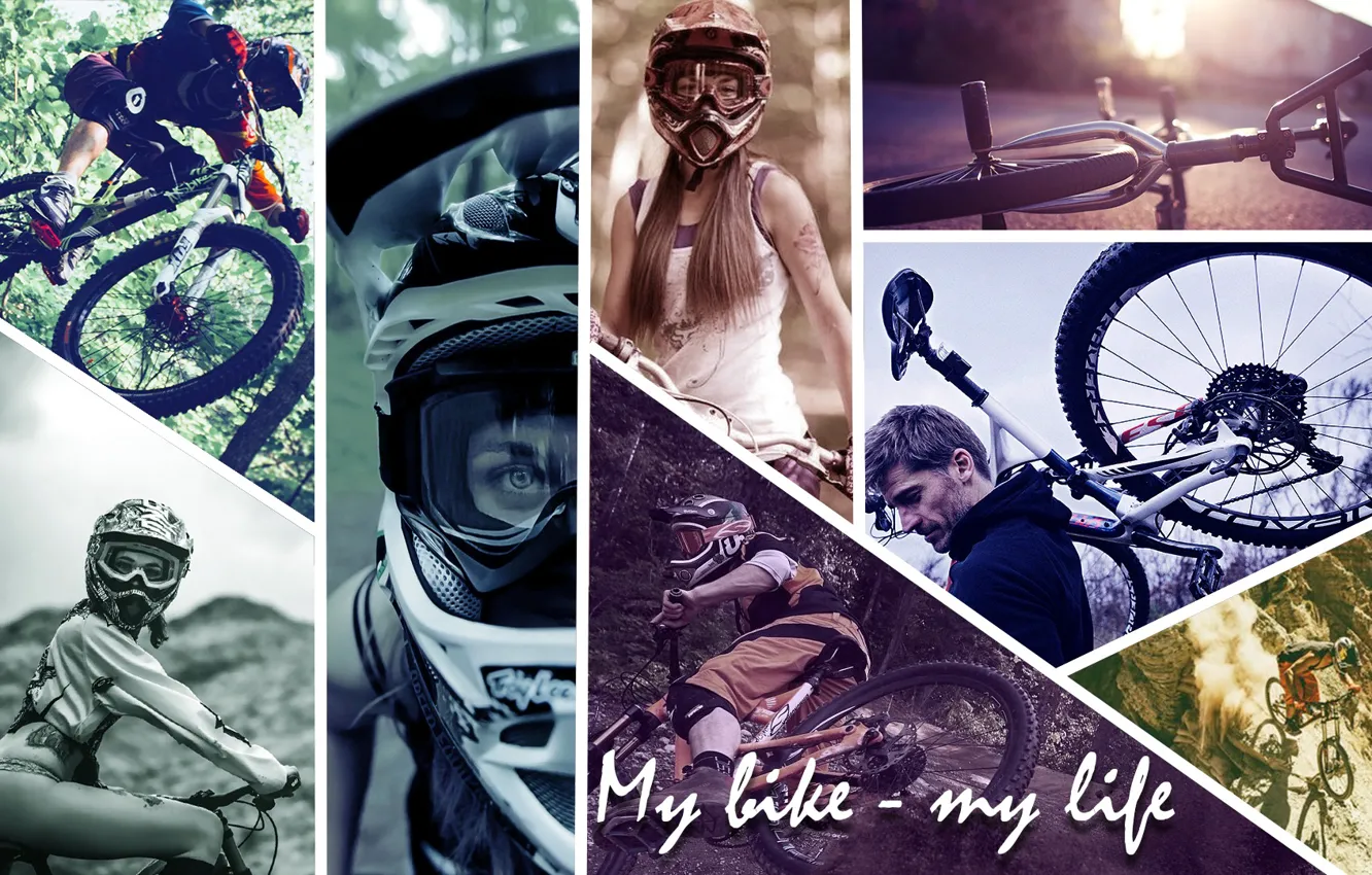 Photo wallpaper bicycle, bike, cycle, wheel, mount, pushbike, pushbicycle