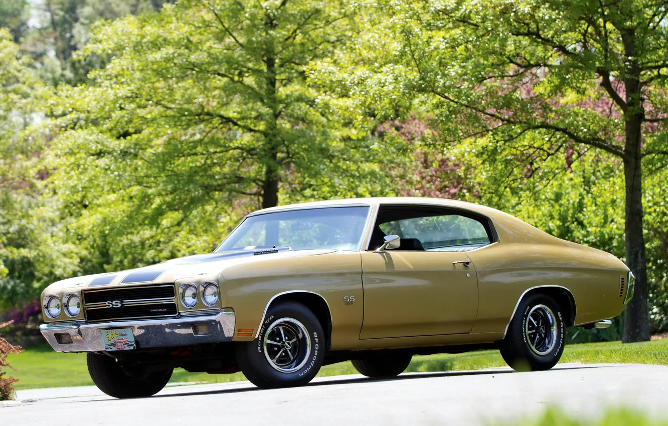 Photo wallpaper Chevrolet, Chevrolet, muscle car, muscle car, 1970, the front, 454, Chevelle