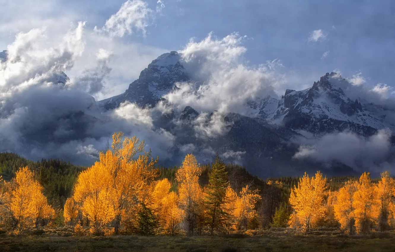 Photo wallpaper autumn, clouds, trees, mountains, Wyoming, Wyoming, Grand Teton, Grand Teton National Park