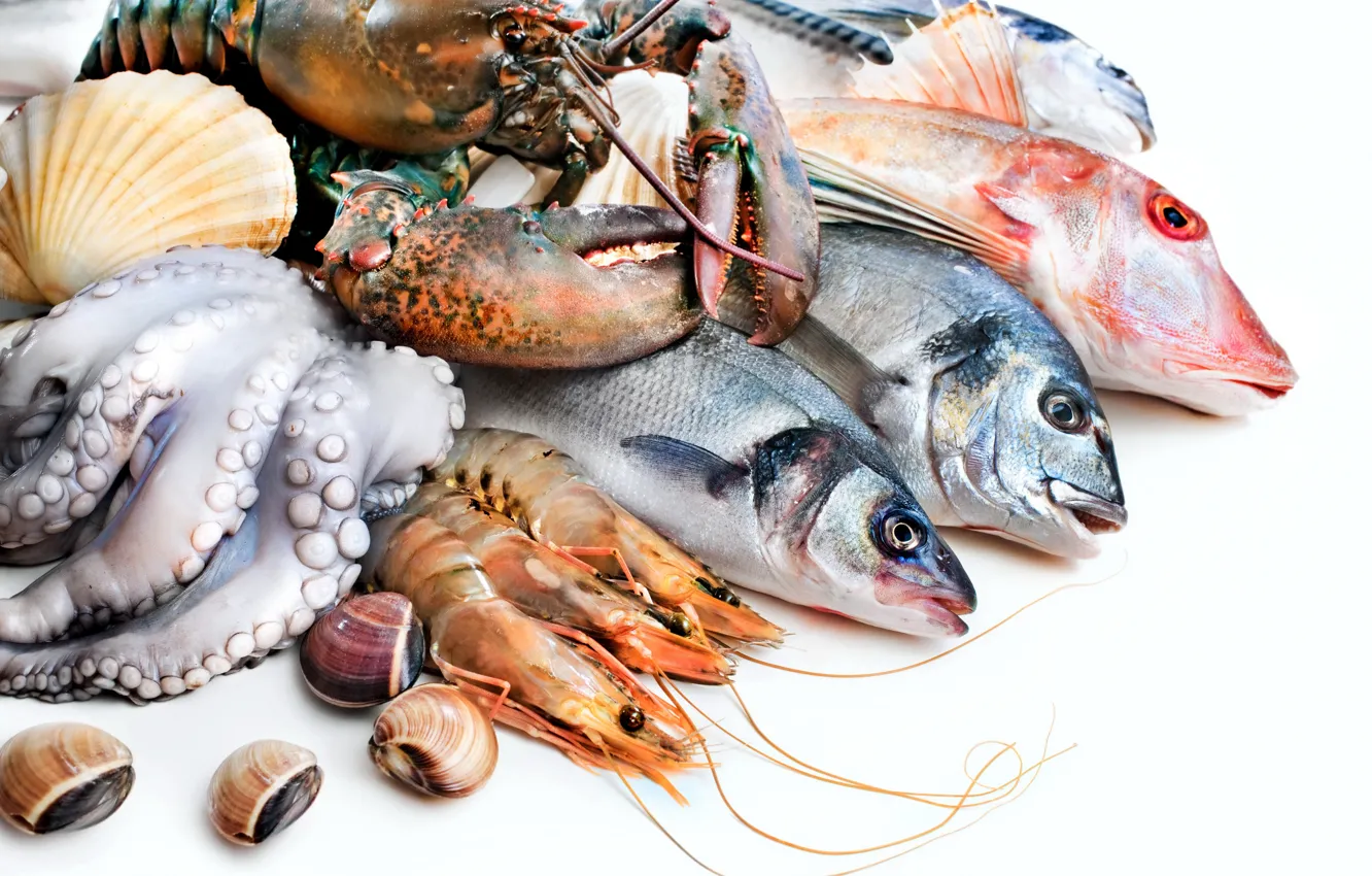 Photo wallpaper fish, octopus, Omar, shrimp, seafood