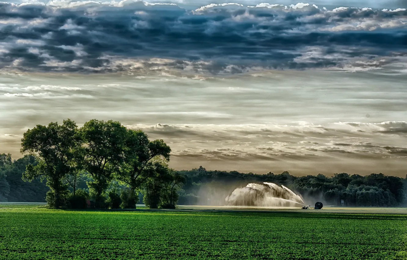 Photo wallpaper field, summer, the sky