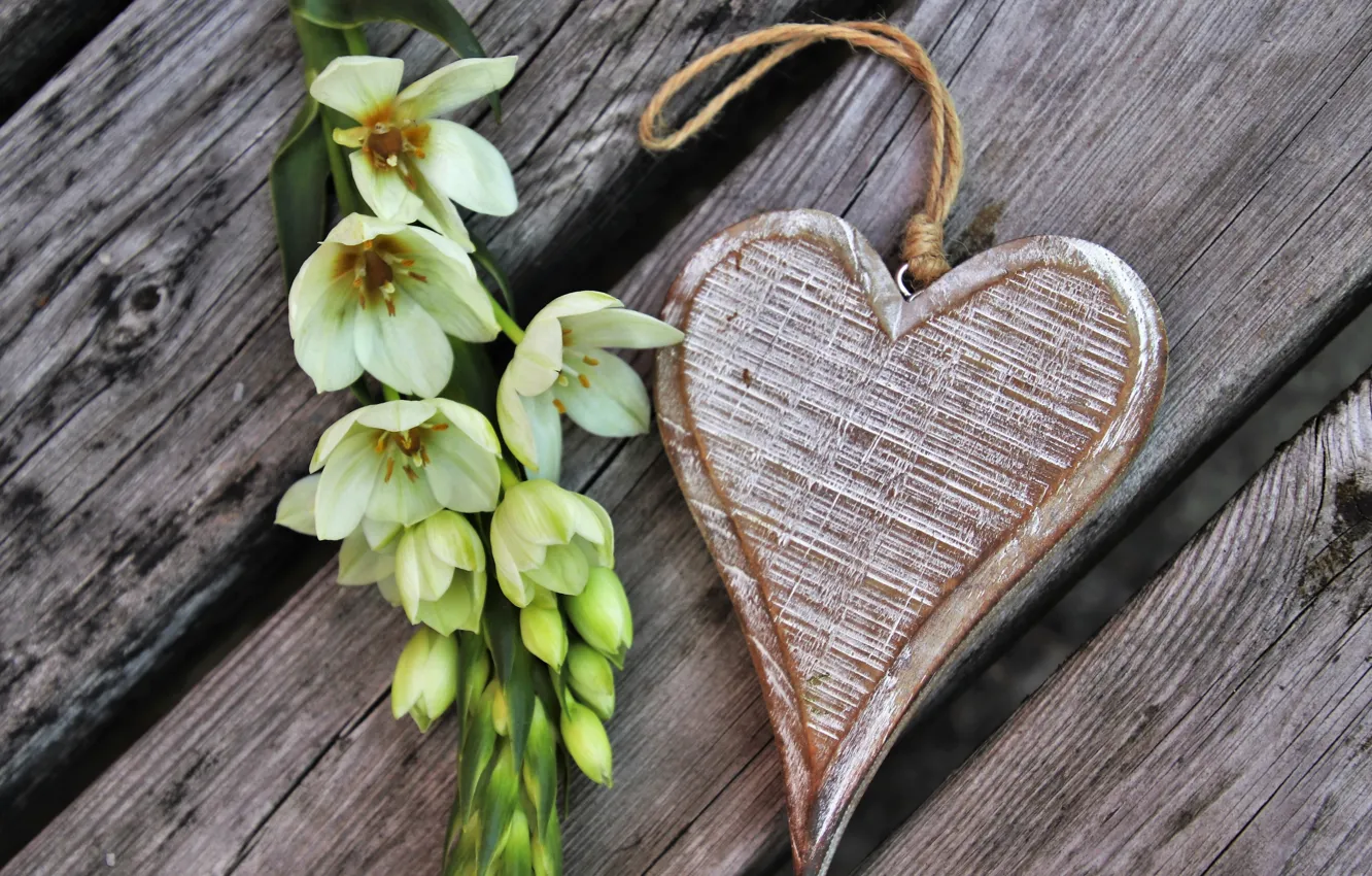 Photo wallpaper flowers, holiday, hearts, Valentine's day