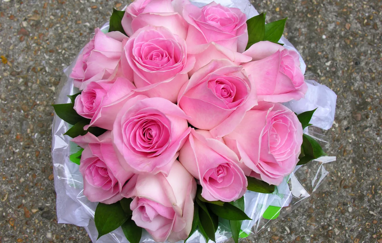 Photo wallpaper photo, Flowers, Pink, Bouquet, Roses