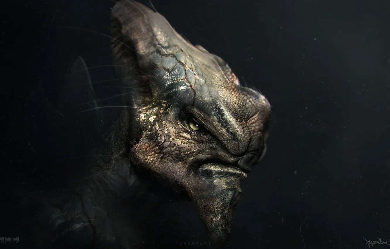 Photo wallpaper the dark background, monster, head, being, art, alien