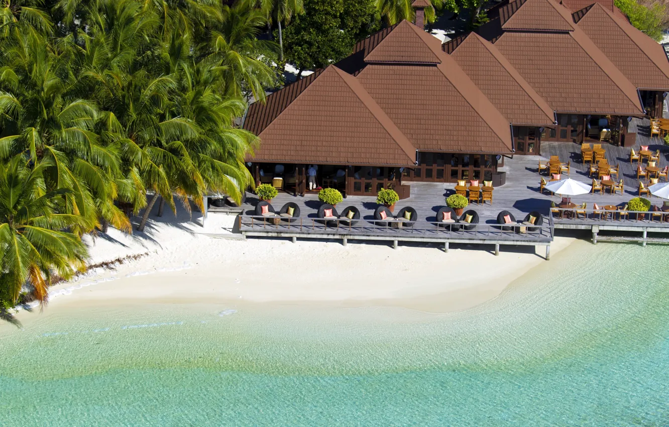 Photo wallpaper sand, beach, palm trees, shore, island, the Maldives, Seychelles