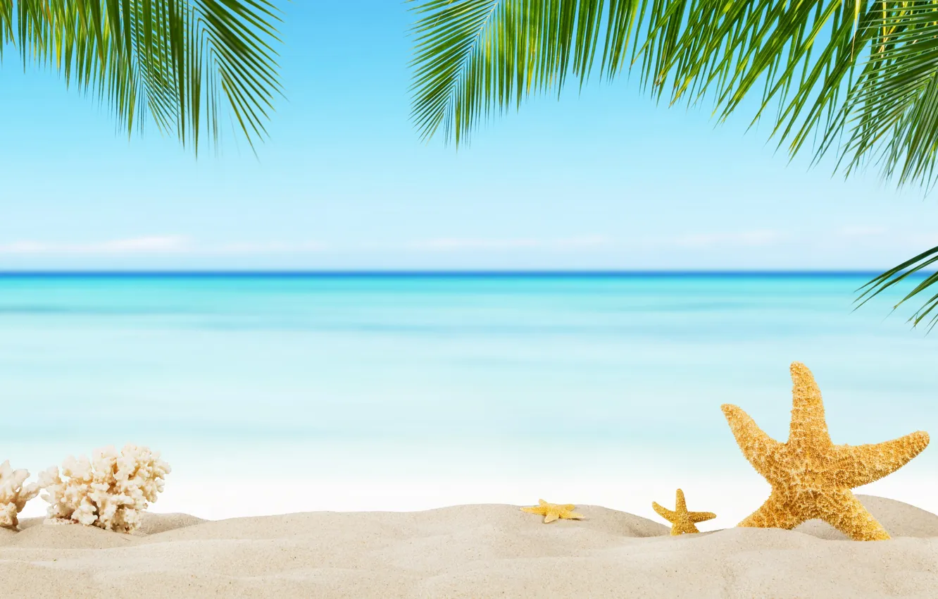 Photo wallpaper sand, sea, wave, beach, summer, the sky, stars, palm trees