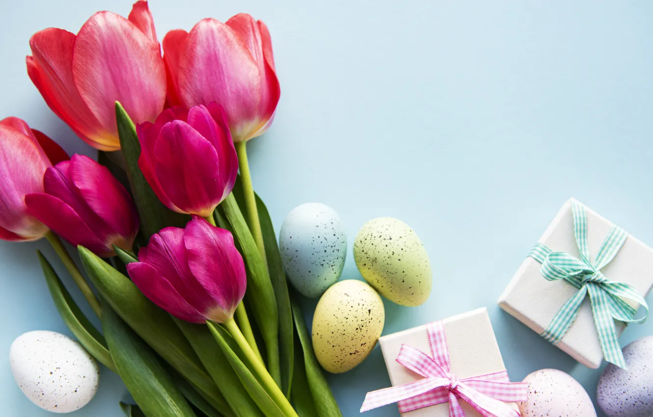 Photo wallpaper flowers, eggs, spring, colorful, Easter, tulips, pink, flowers