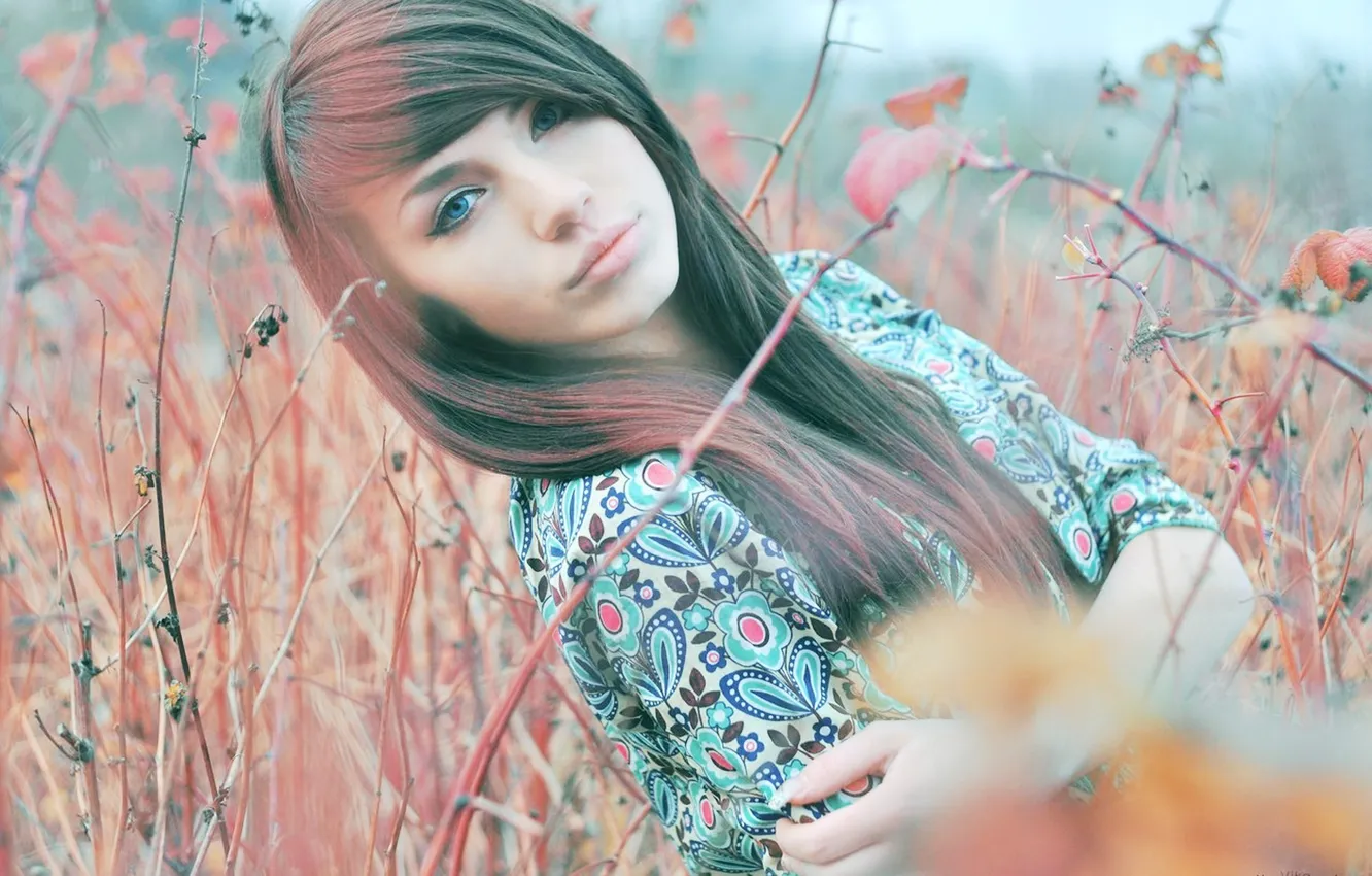 Photo wallpaper girl, model, blue eyes