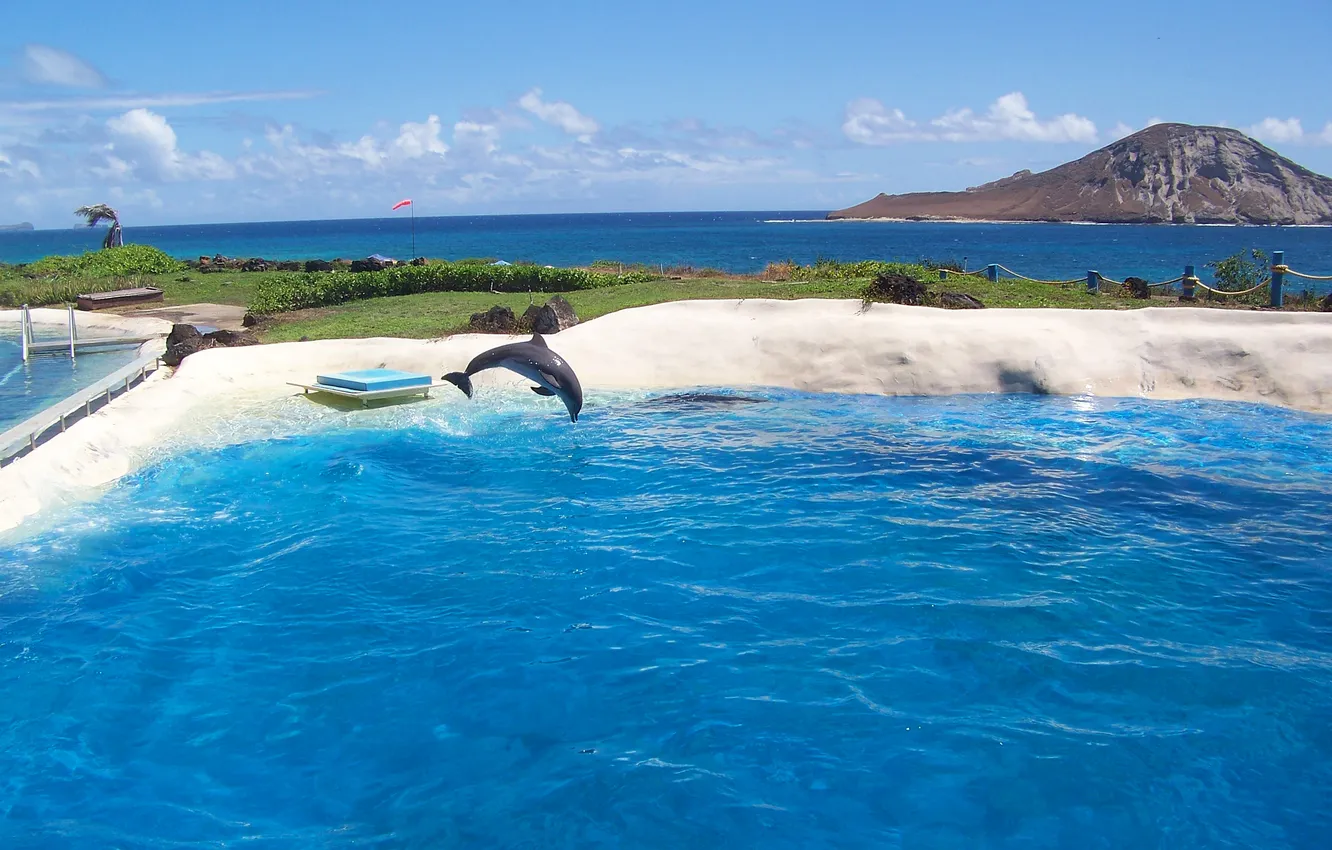 Photo wallpaper sea, the sky, mountains, island, pool, dolphins