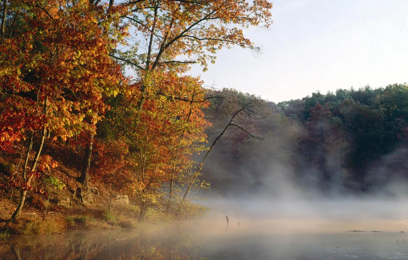 Photo wallpaper autumn, forest, trees, fog, lake