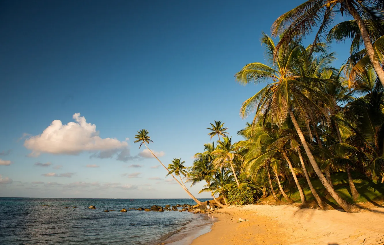 Photo wallpaper sand, sea, beach, tropics, stones, palm trees, beach, sea