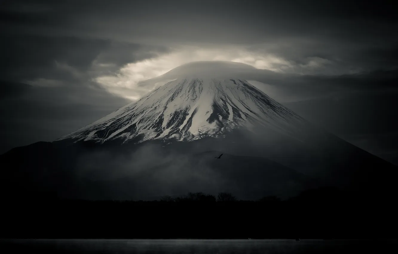Photo wallpaper bird, mountain, Japan, cloud, Fuji, stratovolcano, Mount Fuji, the island of Honshu