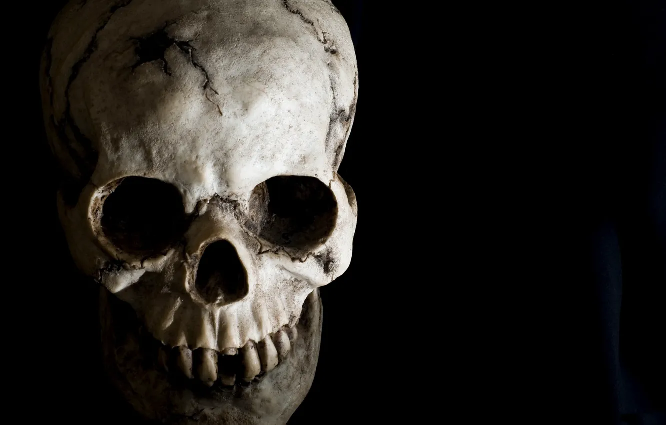 Photo wallpaper background, black, skull, teeth, orbit