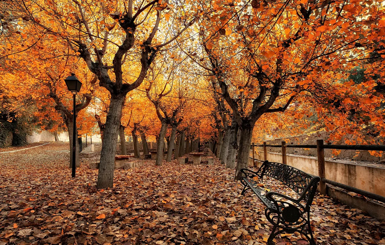 Photo wallpaper autumn, the city, street, bench