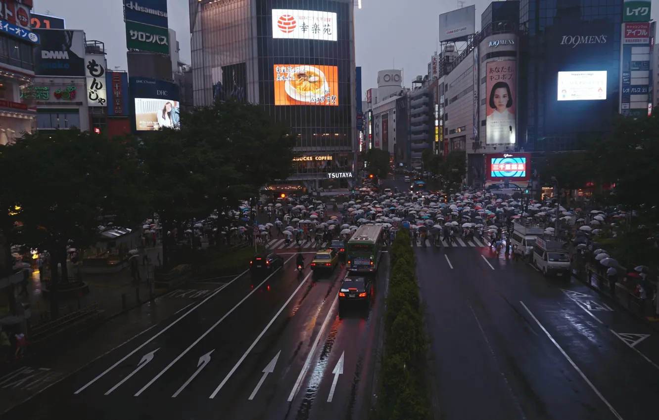 Photo wallpaper rain, the crowd, people, umbrella, Japan, the prepared