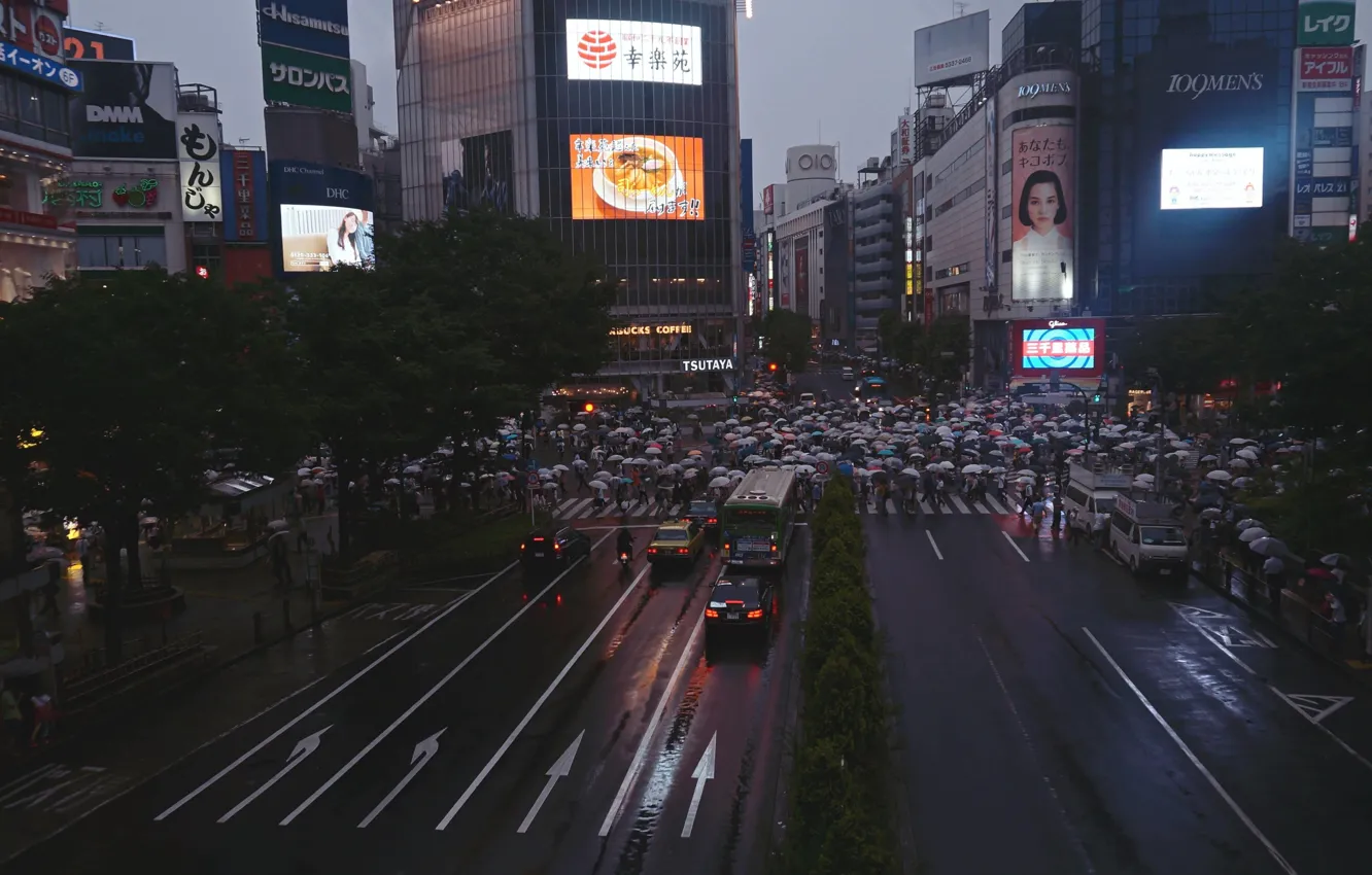 Photo wallpaper people, rain, the crowd, Japan, umbrellas, the prepared