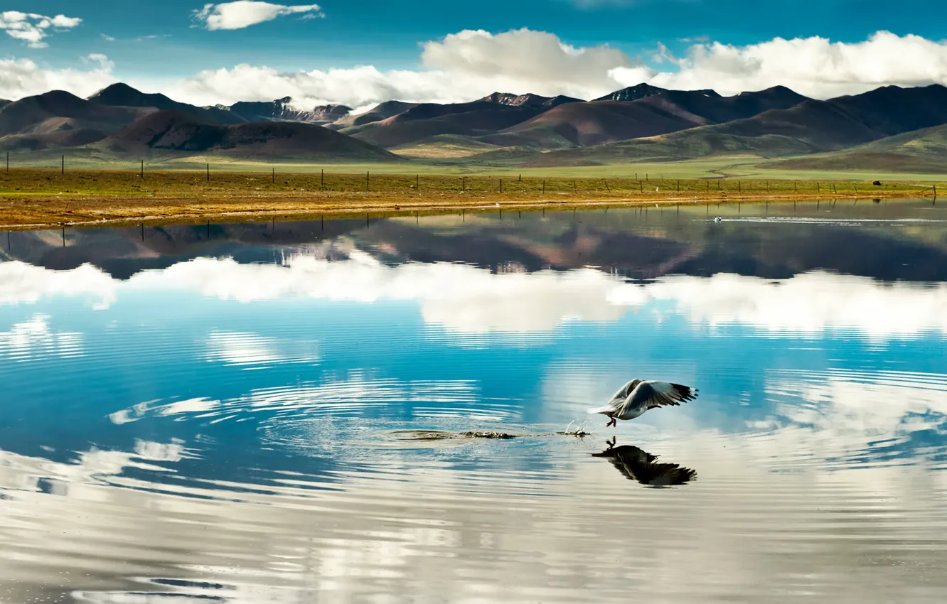 Photo wallpaper clouds, flight, mountains, lake, reflection, bird, China, china