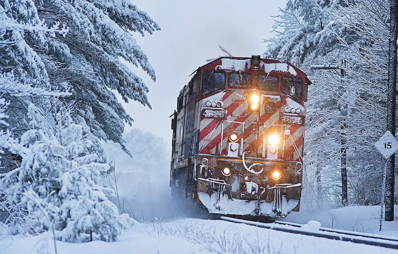 Photo wallpaper winter, forest, snow, trees, train, locomotive