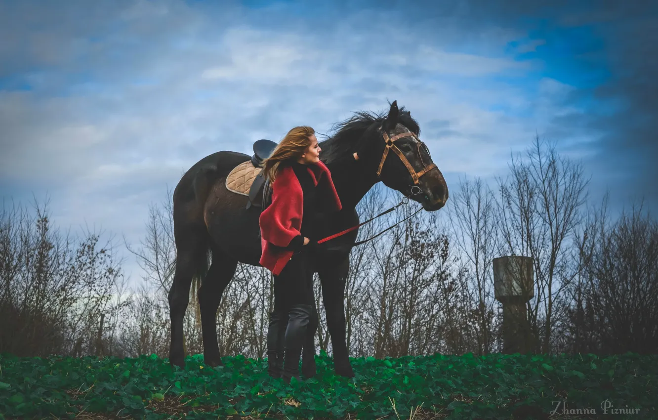 Photo wallpaper field, girl, trees, horse, art