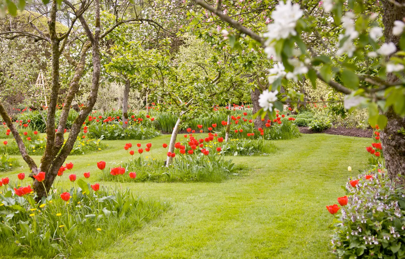 Photo wallpaper grass, trees, flowers, nature, Park, lawn, plant, garden