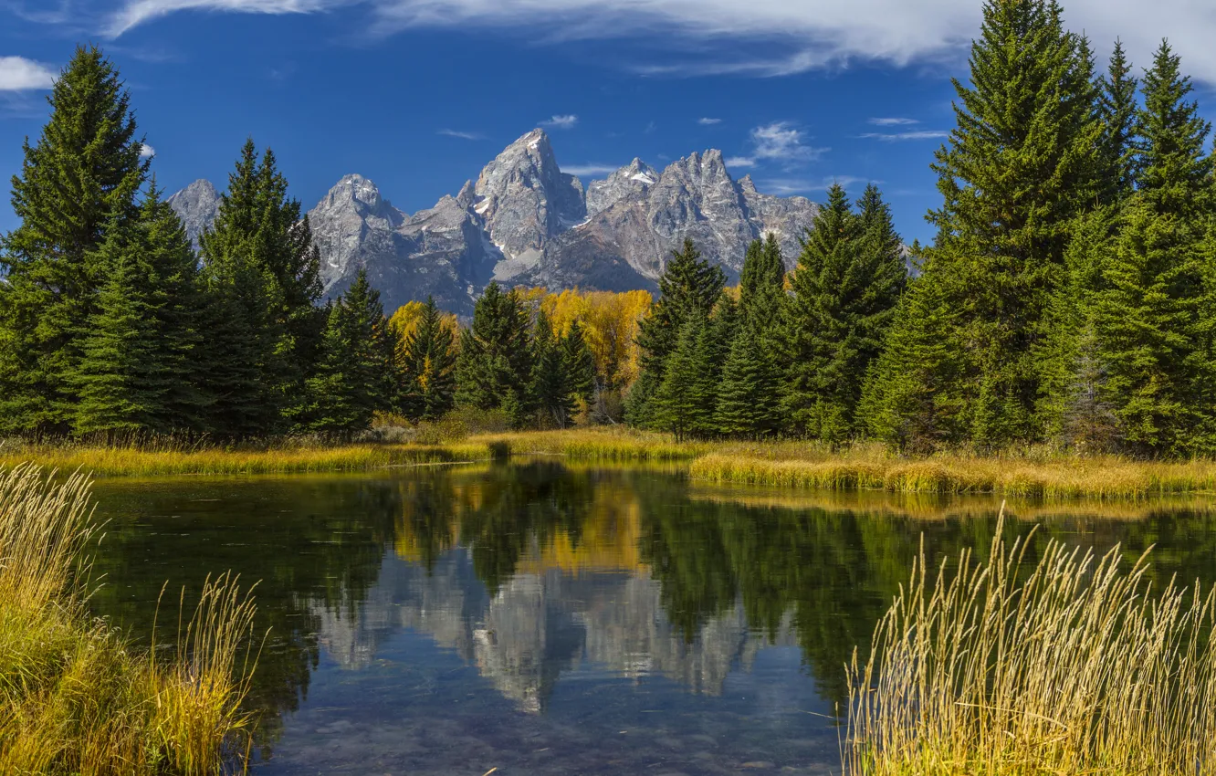 Photo wallpaper autumn, forest, grass, trees, mountains, lake, reflection, USA
