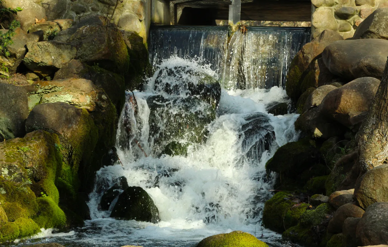 Photo wallpaper water, park, waterfall
