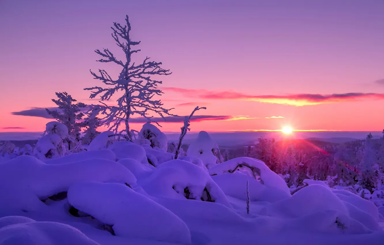 Photo wallpaper winter, snow, sunset